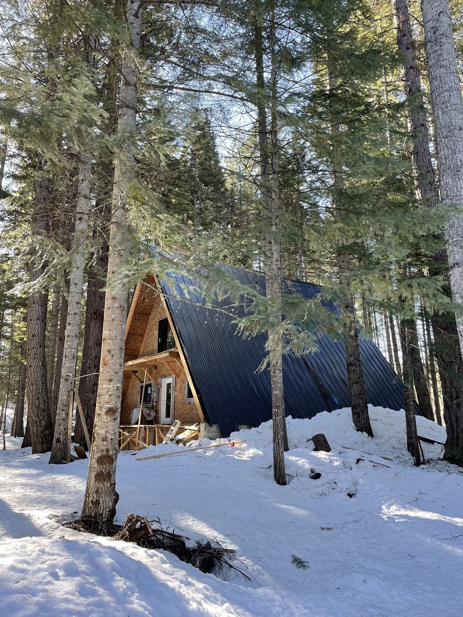 Finished custom cabin exterior on a wooded lot